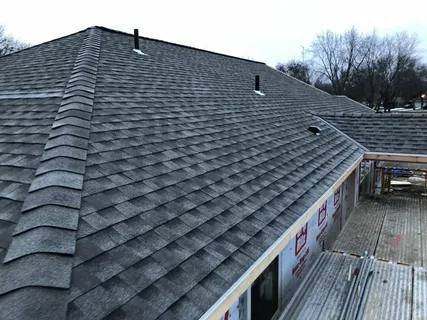Shingle Roof