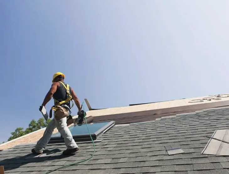Shingle Roof Services